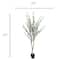 5.5ft. Potted Green Olive Tree by Ashland®